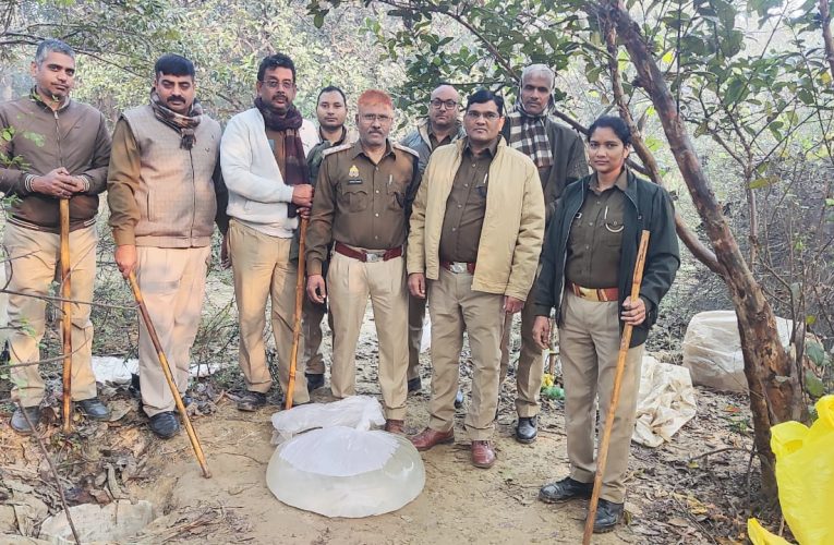 आबकारी विभाग की छापेमारी में बड़ी मात्रा में अवैध शराब बरामद।