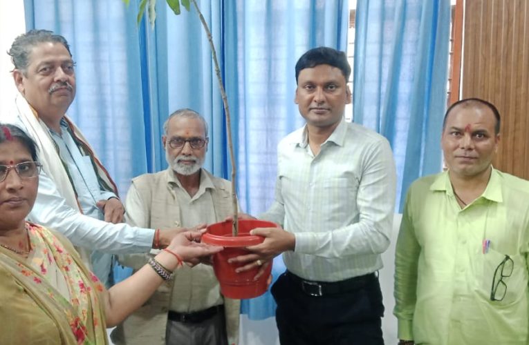 नवागत तहसीलदार ध्रुवेश कुमार सिंह का आम्रपाली आम का पौधा दे कर किया स्वागत