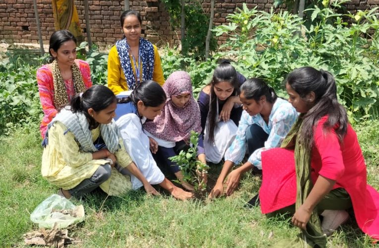 पौधों के बिना जीवन अधूरा – श्रीनारायण दीक्षित