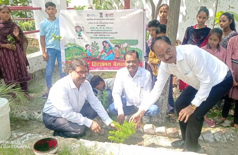 मां का नाम से जोड़ने से भावनात्मक लगाव बनाता है पेड़ : चंद्रभूषण पाण्डेय