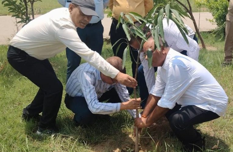 कस्बों में भी घर के पास स्वास्थ्य सुविधाएं देने की तैयारी, पीपीगंज एपीएचसी पर लगने लगा एआरवी इंजेक्शन