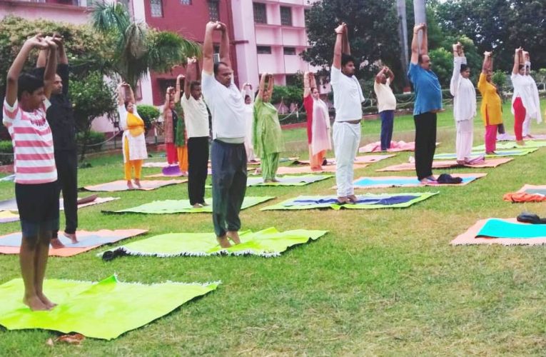 युवा जनकल्याण समिति ने दो दिवसीय योग शिविर का किया आयोजन,आज 50 योगकर्ता होंगे सम्मानित