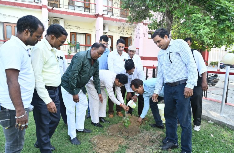 69 वां पौधा आज मुहर्रम कीनौंवी तारीख को माननीयउच्च न्यायालय इलाहाबाद के न्याय धीशडॉ.गौतम चौधरी द्वारा सर्किटहाउस में लगाया गया