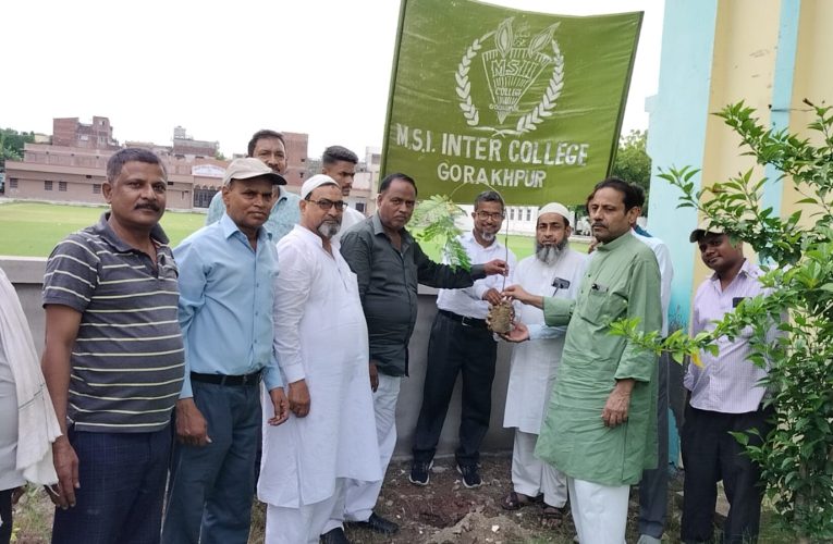 हजरत इमाम हुसैन का तीजा फतेहा के मौके पर 72वां पौधा आज इस्लामिया इंटर कॉलेज के प्रबंधक महबूब सईद हारीश ने लगाकर खेराजे अकीदत पेश किया