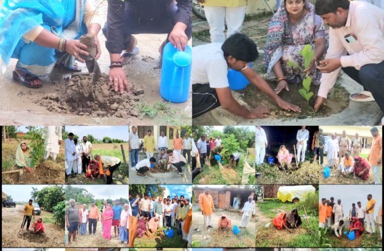ब्रह्मपुर ब्लाक को हरा भरा बनाने का है संकल्प: श्रीमती सुमन यादव ब्लाक प्रमुख भाजपा