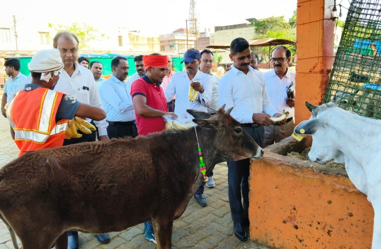मण्डलायुक्त ने अस्थायी गौ आश्रय स्थल रावर्टसगंज का किये औचक निरीक्षण -पूर्वा टाइम्स – समाचार