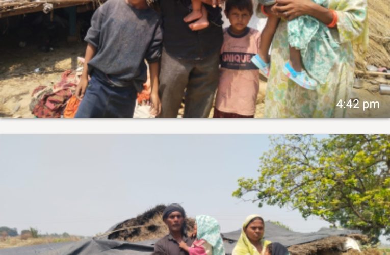 शाहपुर में जंगली भेड़ियों का आतंक, दो वर्षीय अनुष्का पर हमला