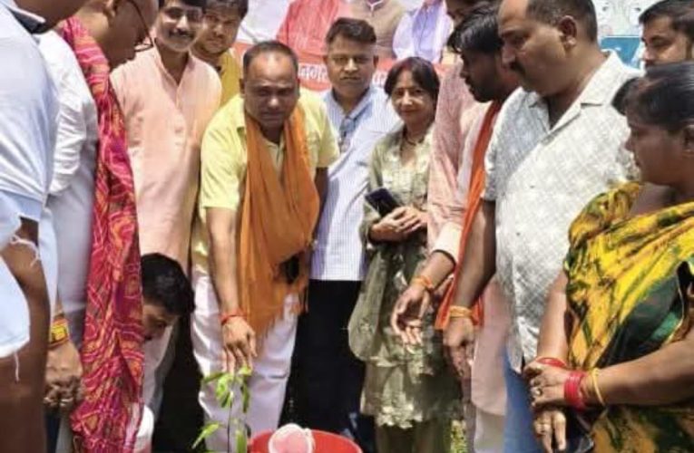 एक पेड़ मां के नाम’ अभियान के तहत महानगर अध्यक्ष ने किया पौधरोपण