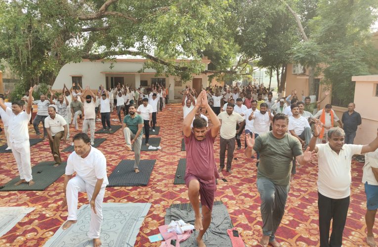 अंतर्राष्ट्रीय योग दिवस पर पाली ब्लॉक मुख्यालय में हुआ भव्य योगाभ्यास