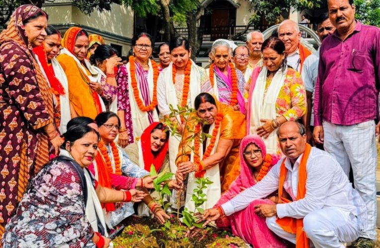 वार्ड नंबर 04 में 31 दंपतियों ने रचा इतिहास एक साथ किया भव्य पौधारोपण