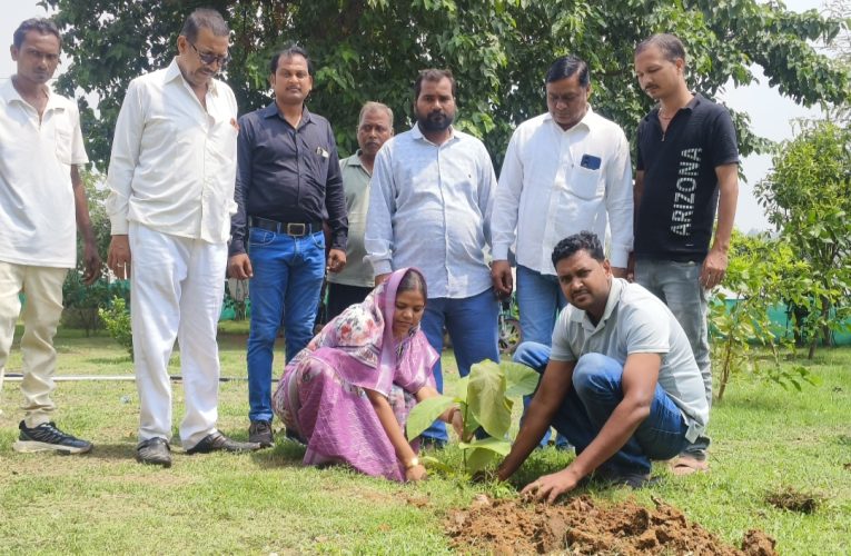 छठ घाट स्थित अमृत वाटिका में नगर पंचायत चोपन ने किया पौधारोपण