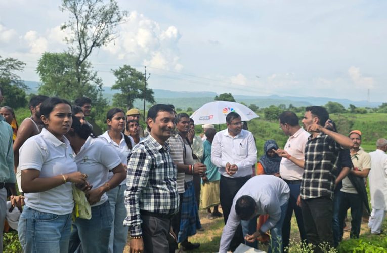 कोटा ग्राम में 20 हजार सीड बॉल थ्रो, हरियाली बढ़ाने का दिया संदेश
