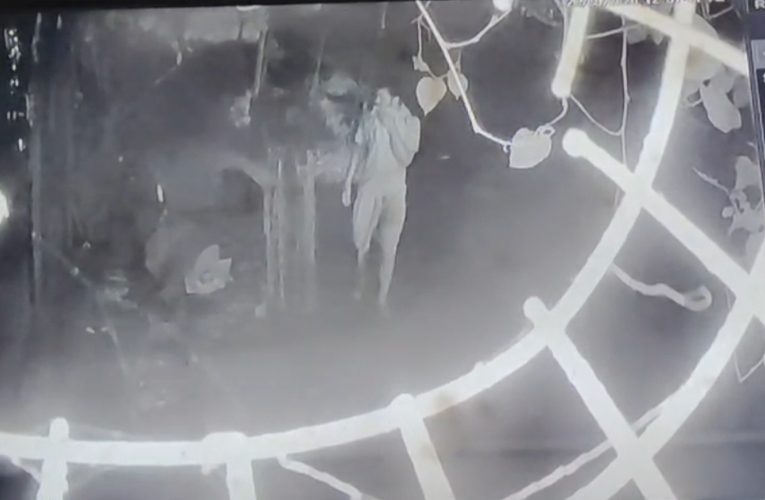 चोपन में वेल्डिंग दुकान के बाहर रखे जनरेटर से अल्टीनेटर चोरी, घटना सीसीटीवी में कैद